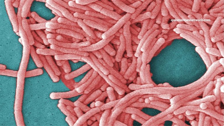 Harlem Legionnaires’ Disease Outbreak: 1 Dead, 30 Sick Legionnaires