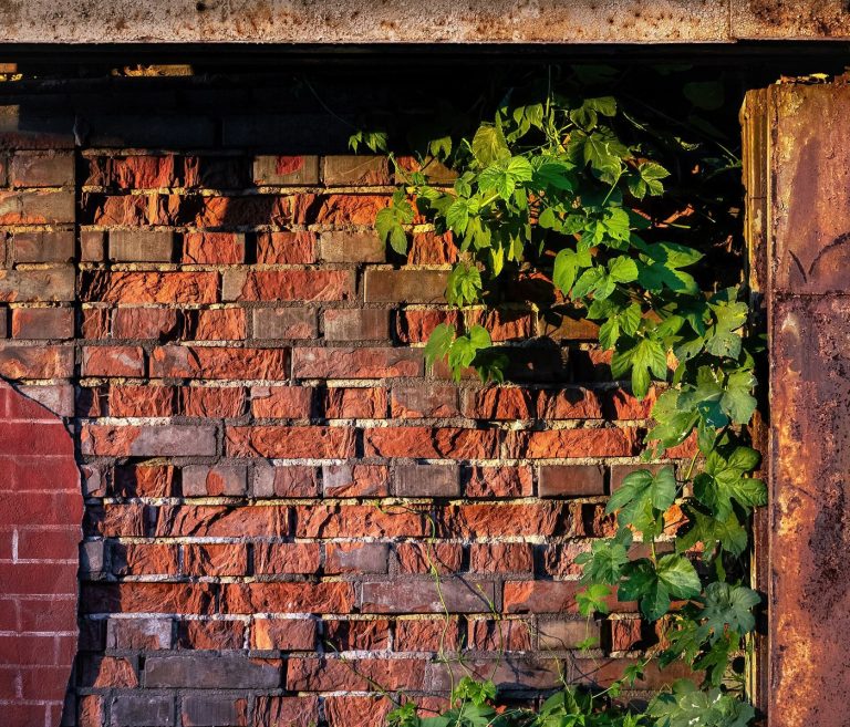 Transition Finance Tries to Fund Heavy Industry’s Clean-Up An industrial plant at work